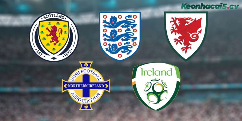 Euro mùa giải năm 2028 sẽ được tổ chức bởi liên minh 5 quốc gia