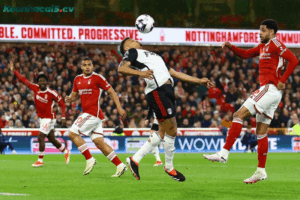 Đội hình dự kiến trước trận Fulham vs Nottingham