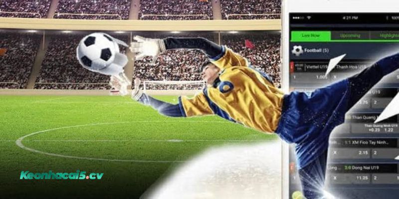 Bảng kèo bóng đá hiển thị nhiều ký hiệu khiến người mới dễ nhầm lẫn