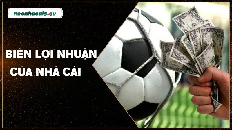 Hiểu đúng về biên lợi nhuận của nhà cái