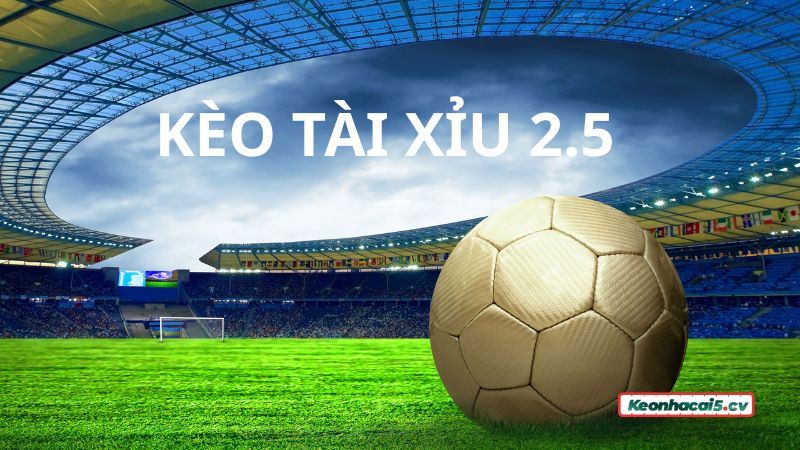 Kèo Tài Xỉu 2.5 rất phổ biến trong cá cược bóng đá trực tuyến