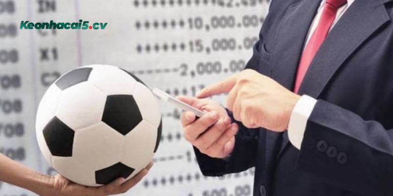 Top lý do nên lựa chọn cá cược tại địa chỉ uy tín