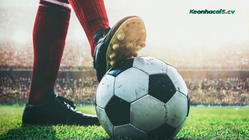 Ưu nhược điểm của cược xâu