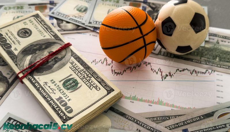 Những lưu ý quan trọng để không bị "lạc lối"