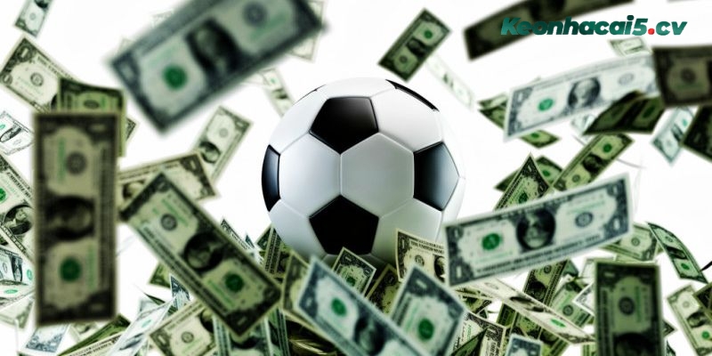 Bỏ túi kinh nghiệm chọn cược hiệu quả nhất từ cao thủ