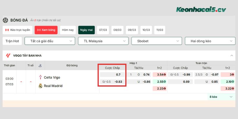 Ví dụ minh họa cách đọc kèo châu Á cho người chơi mới